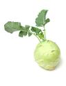 Kohlrabi